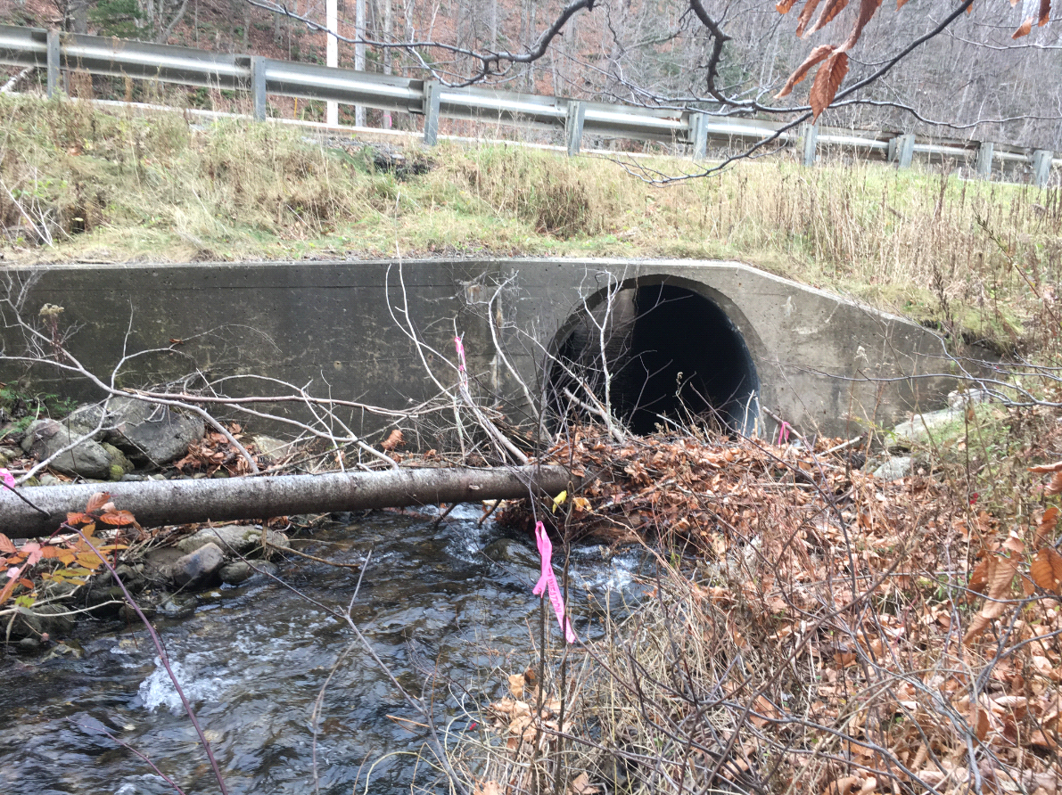 PLYMOUTH BRIDGE BR#114 photo