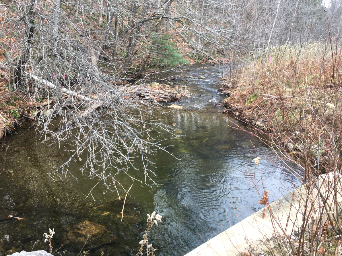 PLYMOUTH BRIDGE BR#114 photo