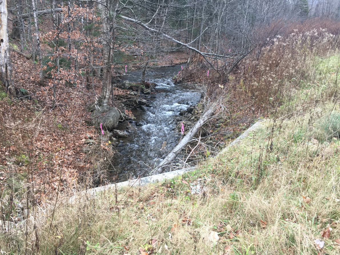 PLYMOUTH BRIDGE BR#114 photo