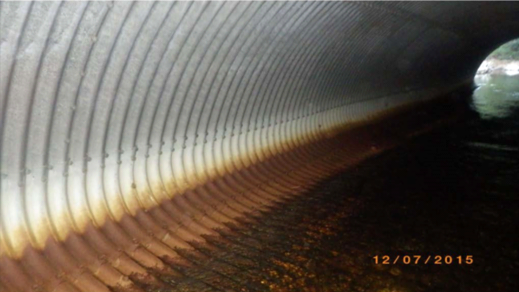 MT. HOLLY VT-155 photo