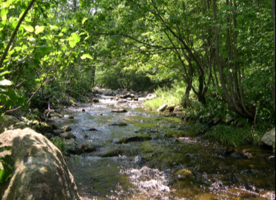 MT. HOLLY VT-155 photo